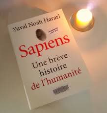 Une (trop) brève histoire de l’humanité